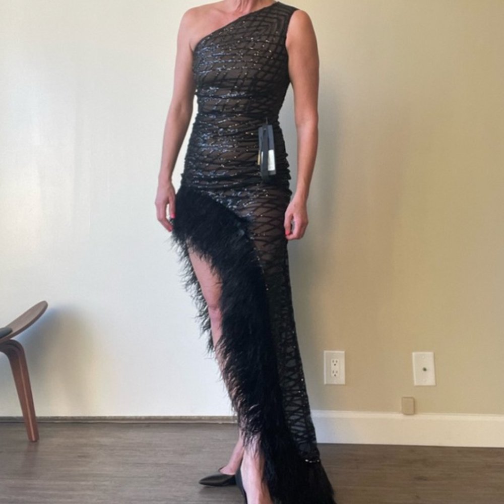 Bronx and Banco Feather Dress Lola NEW $1,300 Sz 4 - Picture 3 of 4